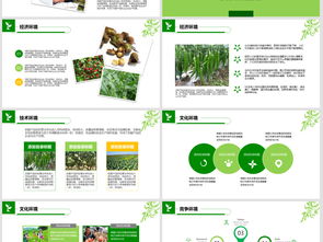 2018年“互联网+农副产品”市场推广企业营销策划案模板与素材指南